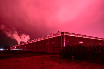 Gew&auml;chshaus beleuchtet mit Rotlicht nachts