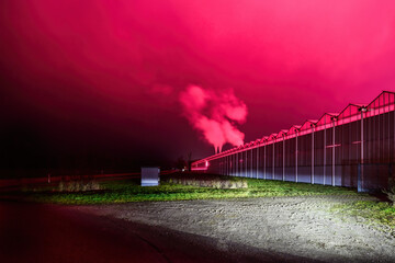 Gew&auml;chshaus beleuchtet mit W&auml;rmelampen- Rotlicht nachts