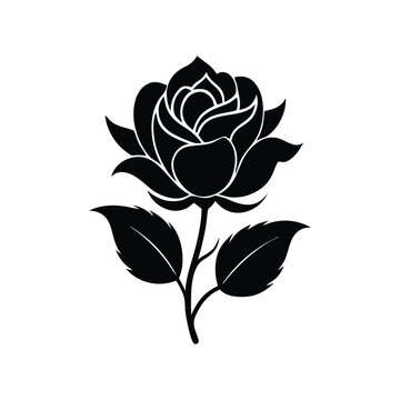 Rose Flower Vector Design  Decorative Golap Illustration