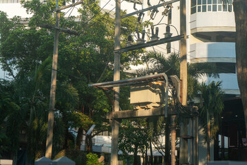 Power Lines and Transformer with Trees