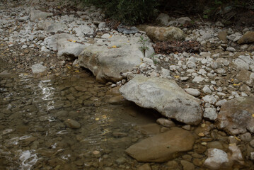 A rocky riverbank with clear water flowing over smooth stones. The scene is tranquil and natural, surrounded by greenery.