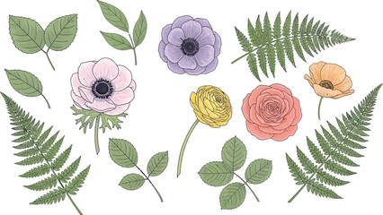 Botanical vector illustration with various colorful blooming flowers and green leaves isolated on white background, perfect for spring and summer designs.