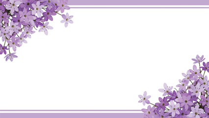 Elegant purple flowers creating a decorative border on a clean white background with subtle lilac lines, perfect for spring and celebration designs