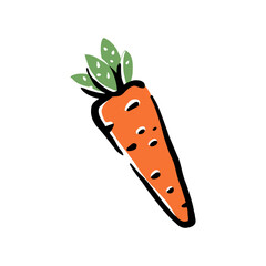 Healthy food vector illustration carrot in a hand drawn style. Perfect for nutrition, diet content, meal prep, and educational design.	