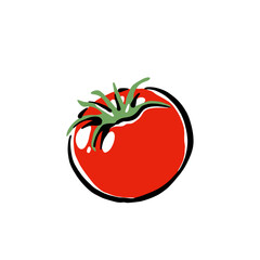 Healthy food vector illustration tomato in a hand drawn style. Perfect for nutrition, diet content, meal prep, and educational design.