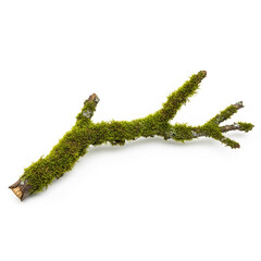 Naklejka premium Image of brown branch covered with green moss on white surface, showcasing natural element and raw texture, representative of nature, growth, and organic concepts