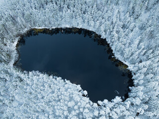 Aerial drone view of a dark, pristine forest lake surrounded by dense, snow-covered pine trees in the winter landscape of Estonia.