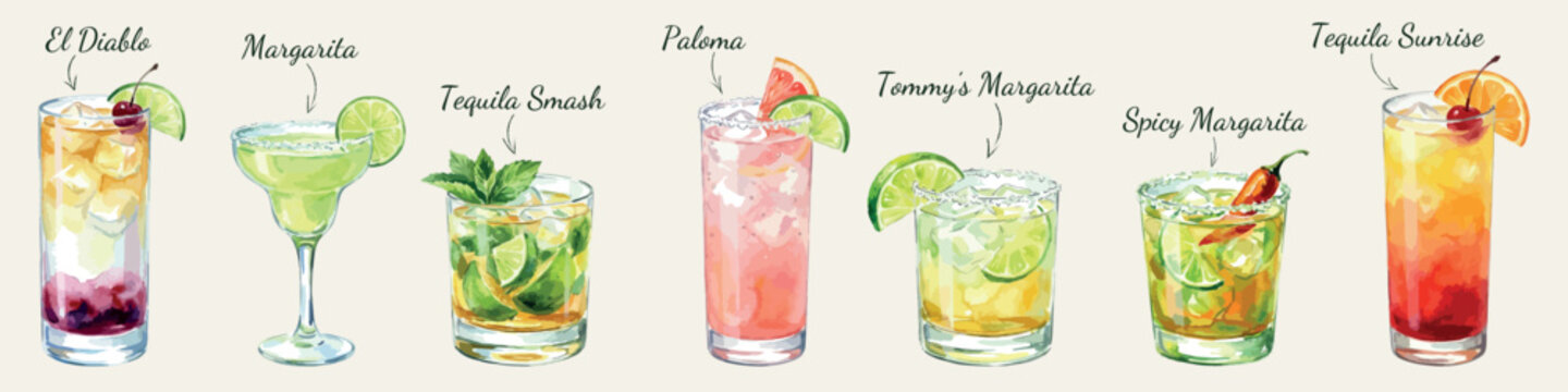 Watercolor tequila cocktail set, isolated vector illustrations with margarita and popular bar drinks