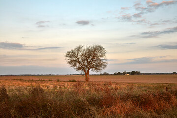 Sunset Light Over Arkansas Grand Prairie