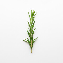 Naklejka premium Close-up of a single rosemary sprig on a plain white surface, representing culinary herbs, freshness and aromatic properties for cooking or seasoning