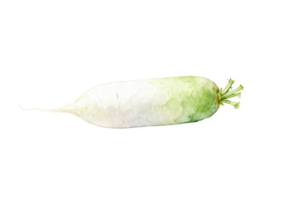 Daikon Radish: Fresh and crisp daikon radish, its vibrant hues promise culinary delight. It captures the essence of fresh produce.