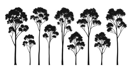 Striking black silhouette collection of diverse tall eucalyptus trees perfect for modern nature designs