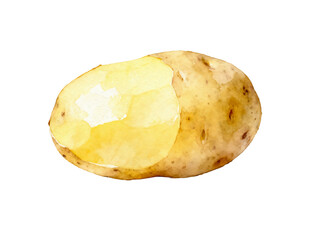 Partially Peeled Potato: A detailed capture of a single potato, partially peeled. Showcasing the contrast between the rough skin and the smooth, golden flesh.