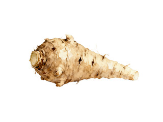 Jerusalem Artichoke: A close-up shot of a Jerusalem artichoke, highlighting its unique texture and earthy color, ready to be prepared for a nutritious meal.