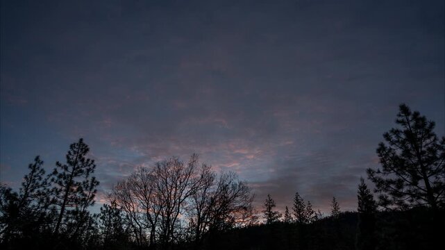 Sunrise Clouds in the Forest Timelapse