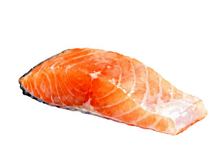 Salmon Fillet: A delectable salmon fillet, exhibiting its vibrant orange hue and delicate marbling, is presented as a culinary delight, inviting a moment of gustatory pleasure.