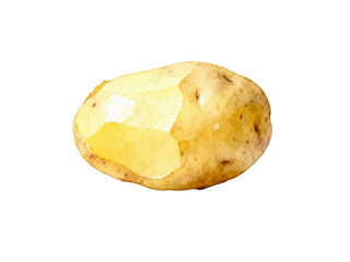 Partially Peeled Potato: A detailed look at a single, partially peeled potato, revealing its textures and colors against a bright backdrop, showcasing simplicity of ingredients.