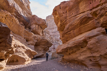 Unique landscape in Eilat Mountains nature reserve, southern Negev, as seen from the Israel Trail pass through the reserve. A male hiker in a trail. Impressive colorful walls of a narrow dry canyon.