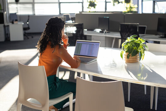 Black woman sitting at oval table viewing spreadsheet on laptop beside leafy plant in office