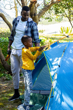 Midadult African American man and boy pitching blue tent under trees holding stakes and sleep bag