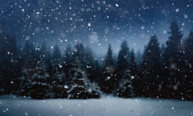 Verschneiter winterwald in der Weihnachtsnacht mit Unsch&auml;rfe