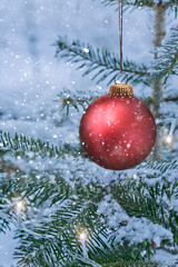 Rote Weihnachtskugel an einem Tannenzweig