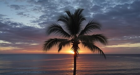 tropical palm silhouette against vibrant sunset over calm ocean waters