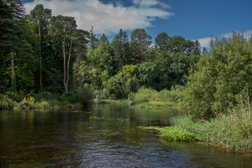 The River Cong and the forest of Cong near the locality of Cong, Ireland, with calm waters reflecting the overcast sky and dense, lush greenery on both sides