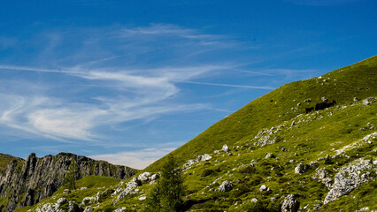 Lo spettacolare sentiero delle Crode Rosse con vista sul gruppo roccioso delle Pale di San Martino. Dolomiti, San Martino di Castrozza, Trentino, Italia