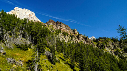 Lo spettacolare sentiero delle Crode Rosse con vista sul gruppo roccioso delle Pale di San Martino....