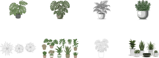 Collection of potted house plants in various styles