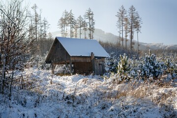 Snow-covered forest shed for animal feed. Hostyn Mountains. Czech Republic.