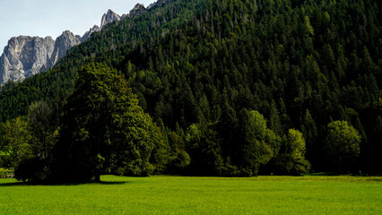 Lo spettacolare sentiero delle Crode Rosse con vista sul gruppo roccioso delle Pale di San Martino. Dolomiti, San Martino di Castrozza, Trentino, Italia