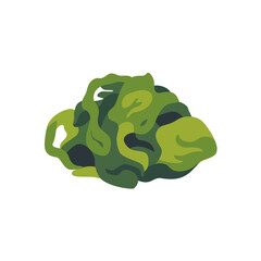 Green seaweed marine algae edible plant, isolated flat style vector illustration