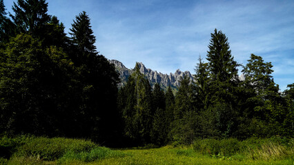 Lo spettacolare sentiero delle Crode Rosse con vista sul gruppo roccioso delle Pale di San Martino. Dolomiti, San Martino di Castrozza, Trentino, Italia