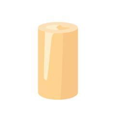 Fresh hearts of palm white vegetable, isolated flat style vector illustration