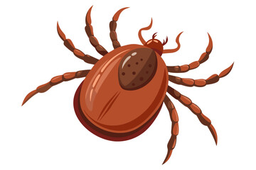 High-quality illustration of a tick insect with realistic detail and color. This vector graphic shows the tick’s body structure, legs, and texture, perfect for educational, scientific, and medical pur