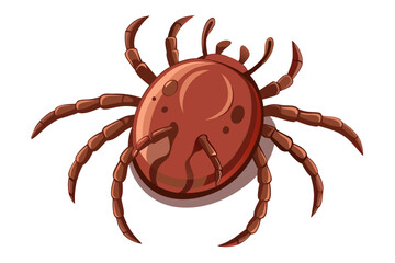 High-quality illustration of a tick insect with realistic detail and color. This vector graphic shows the tick’s body structure, legs, and texture, perfect for educational, scientific, and medical pur