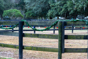 Christmas lights on a horse paddock fence