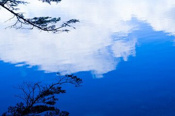 Tranquil Blue Water Reflecting Clouds and Tree Silhouettes