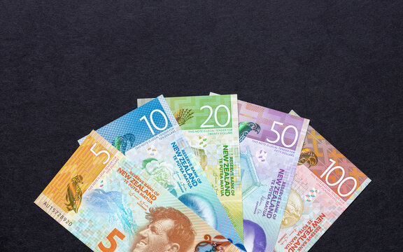 New Zealand money. All paper banknotes of the New Zealand currency dollar, arranged in a fan on a black background. Financial business NZD concept. Flat lay.  Copy space