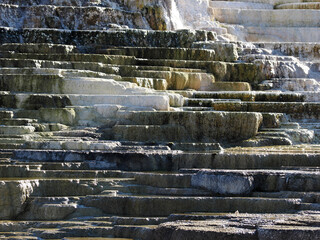 Tiered Limestone Steps of Mammoth Hot Springs