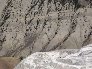 Eroded Rocky Mountain Slope Near Mammoth Hot Springs