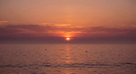 Stunning ocean sunset casts warm orange glow over calm water as small birds fly