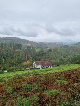 Typical Basque farmhouse with sheep grazing on a cloudy day, Basque Country, Spain
