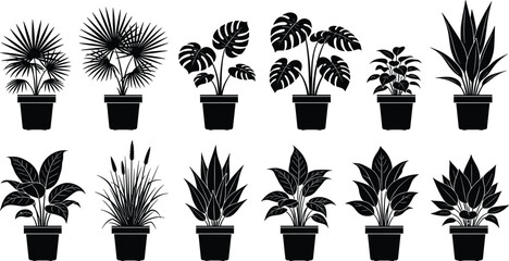 Indoor houseplant silhouette collection potted plant set botanical home decor tropical foliage minimal black vector illustration isolated
