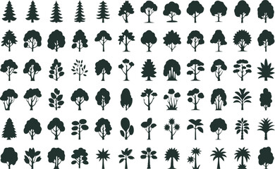 Silhouette Tree Set — Solid Shapes in Side & Front View, Graphics Elements for Architecture and Landscape Design — Tropical, Oak, Pine Variants — Vector Illustration
