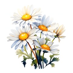 Obraz premium Watercolor painting of a bouquet of daisies with white petals