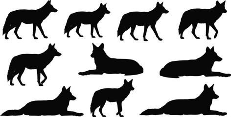 Dog silhouette, wolf pose, canine vector, animal posture, walking dog, lying wolf, pet shape, black outline, motion study, clipart