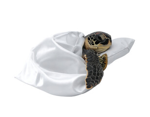  Sleepy Turtle Hugging Pillow